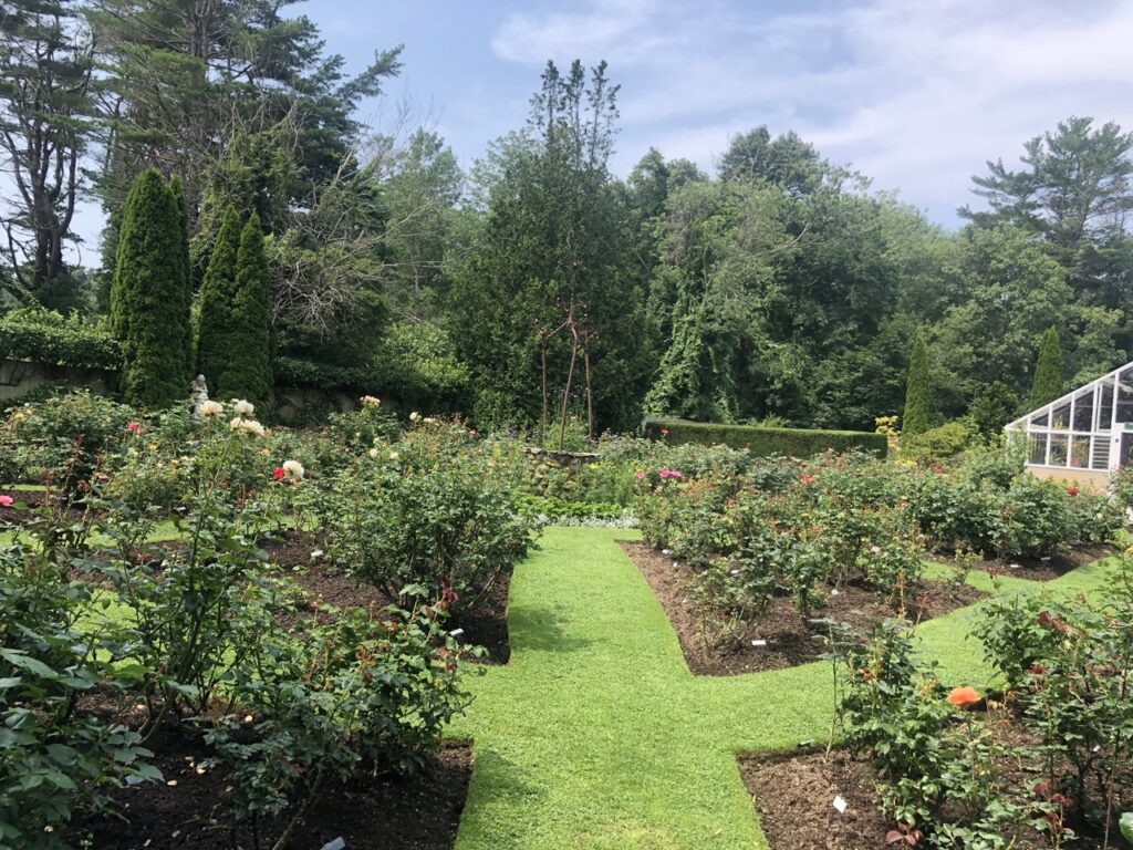 Roses in Fuller Gardens, North Hampton New Hampshire - top place to visit