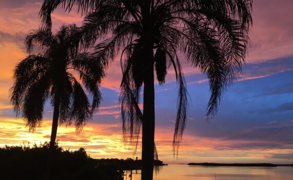 Sunset over the ocean with palm trees.