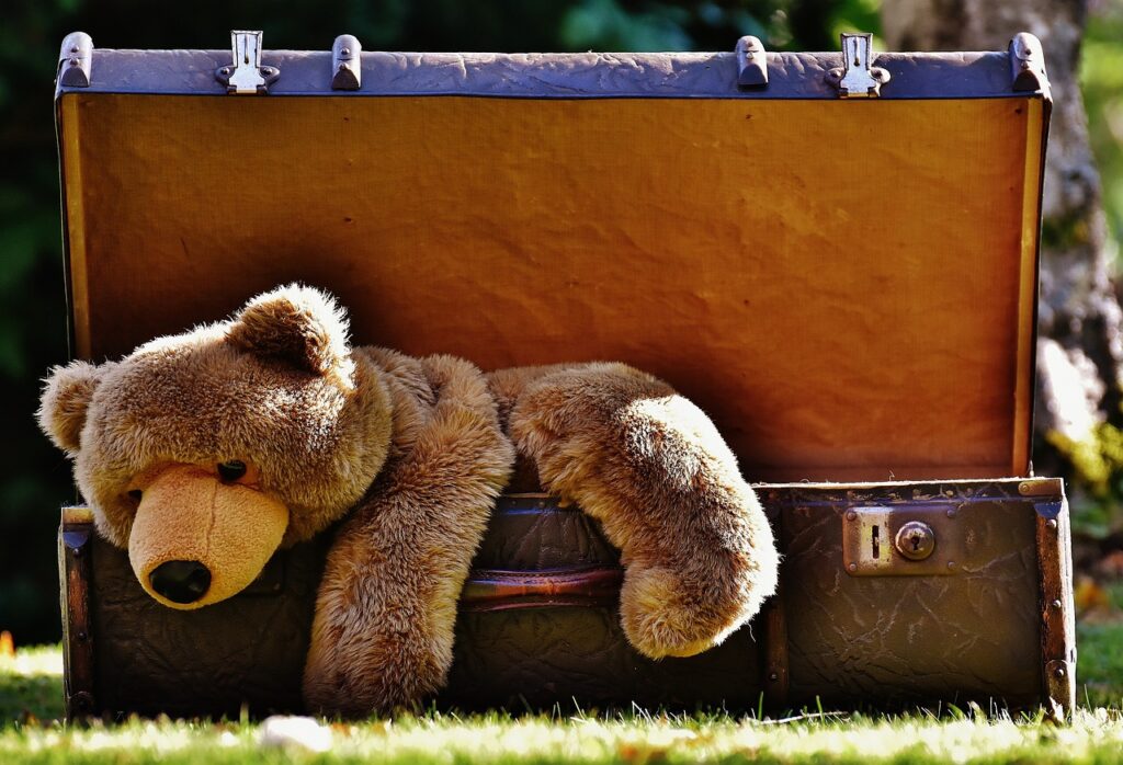 Teddy bear in a suitcase