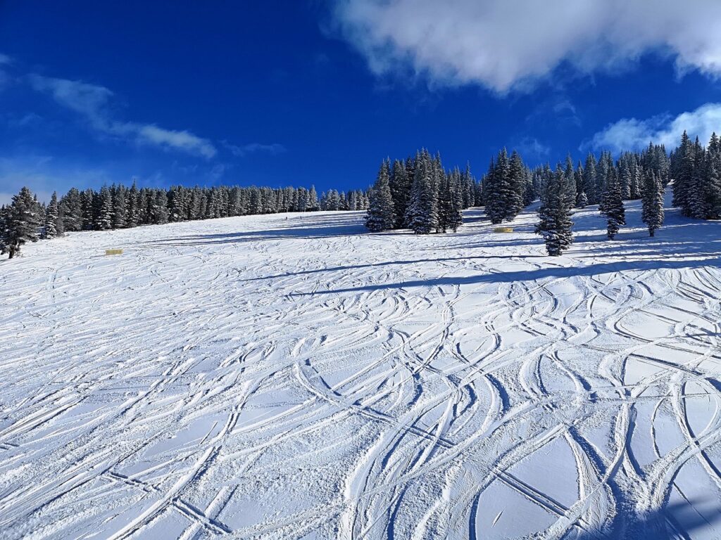 ski tracks in the snow in Vail Colorado