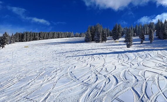 ski tracks in the snow in Vail Colorado