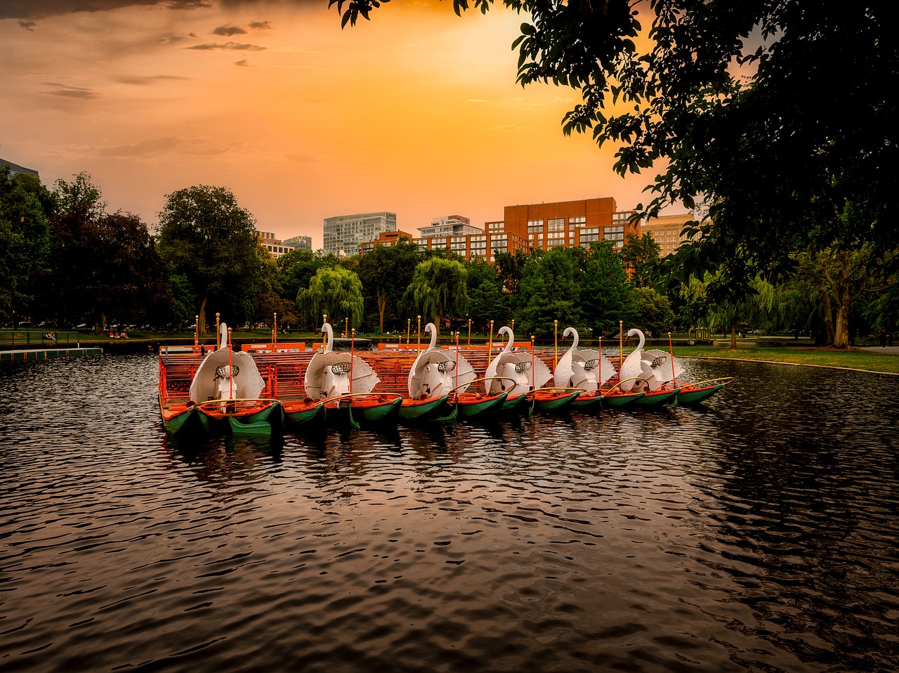 Boston Public Garden at sunset with the swan boats.