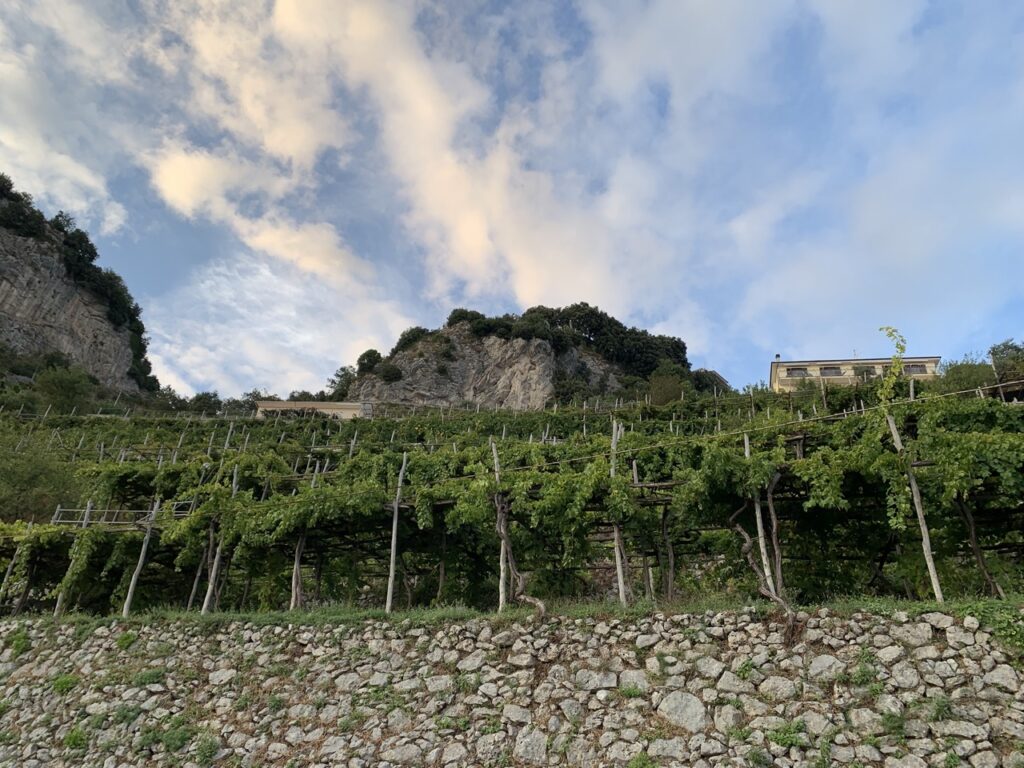 Marisa Cuomo Winery:Vineyards in Furore, Winery along the Amalfi Coast
