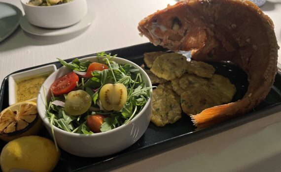 Fish and salad served - dining in Puerto Rico