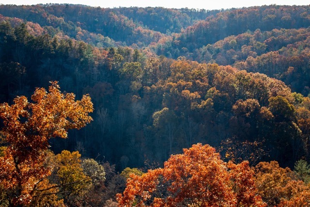 Appalachia Mountains in the fall