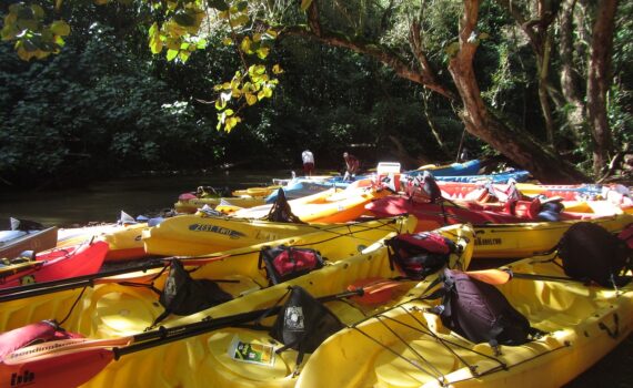 Colorful kayaks lined up on a river in Hawaii