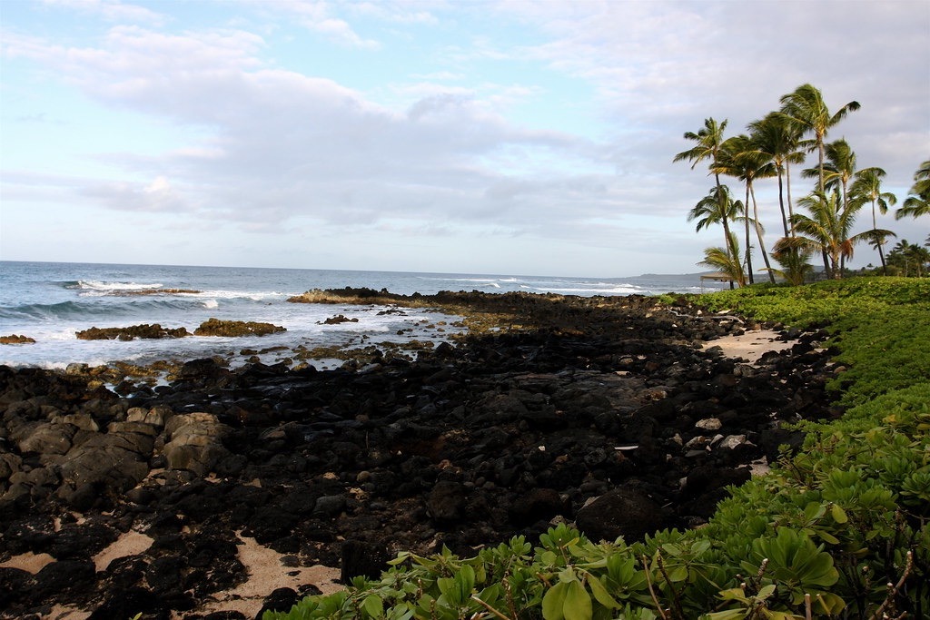 View of the rocky shore near the Sheraton Coconut Beach, Kauai