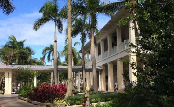 St. Regis Bahia hotel in Puerto Rico - surrounded by Palm trees