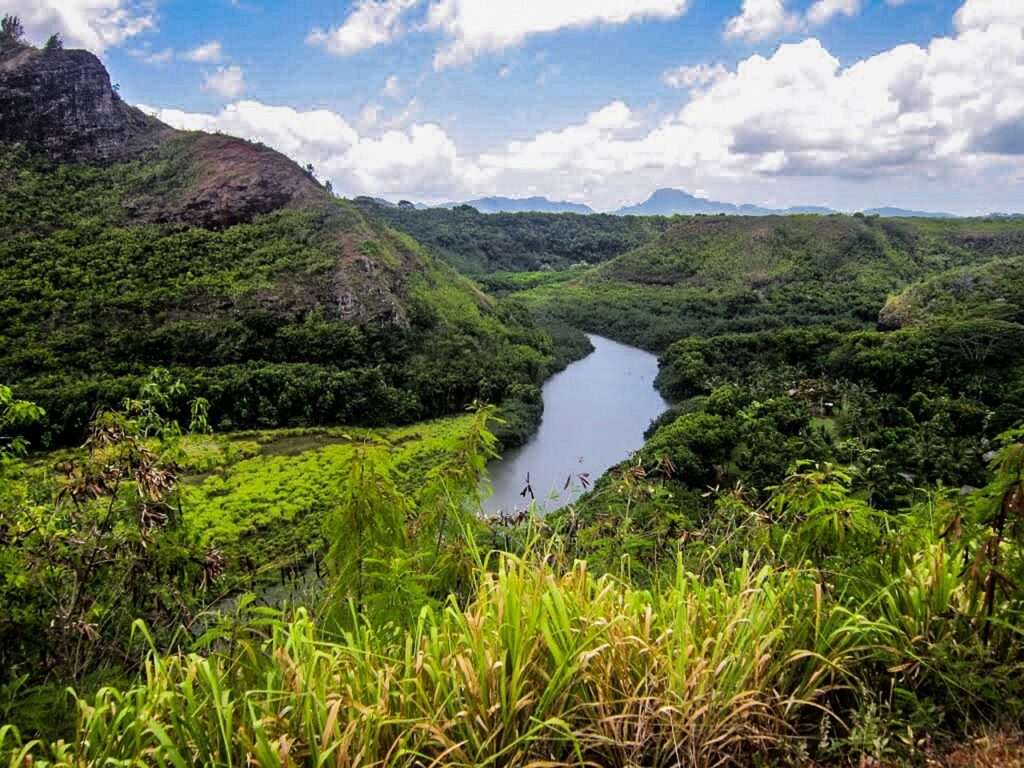 Wailua river Kauai - a perfect destination for your vacation in Kauai