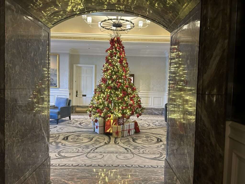 Christmas tree in the lobby of the Boston Harbor Hotel