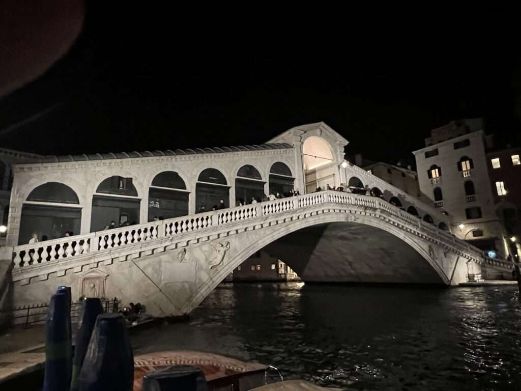 Rialto Bridge Venice at night