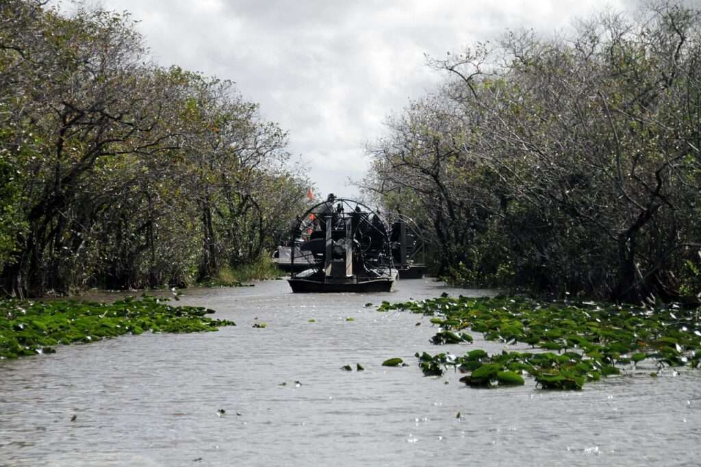 A boat tour through the everglades in Florida - perfect thing to do on a trip to florida