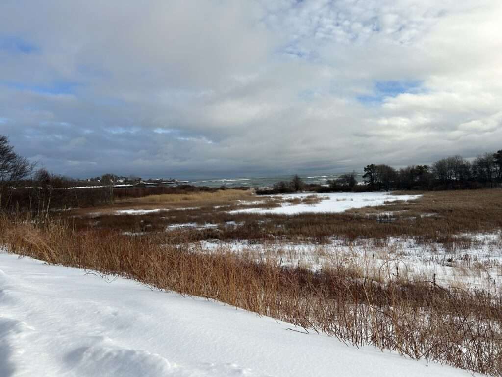 Snow Shoe View of the Beach