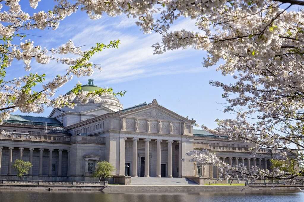 Museum of science and industry, Chicago at springtime