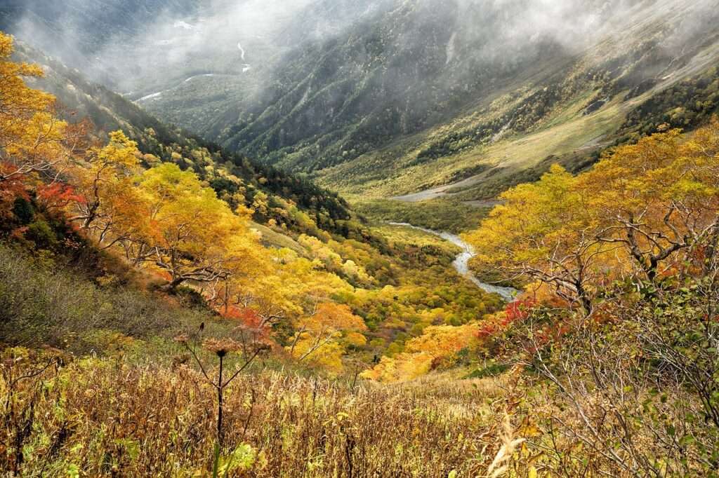 Autumn in Japan